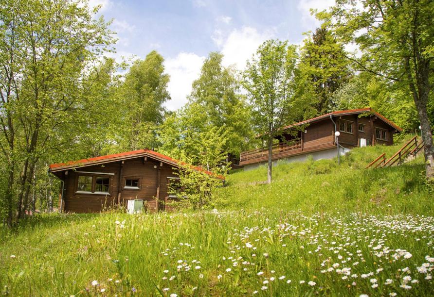 Werrapark Resort Ferienhaeuser Am Sommerberg Premium Masserberg Exterior foto