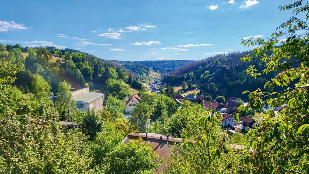 Werrapark Resort Ferienhaeuser Am Sommerberg Premium Masserberg Exterior foto